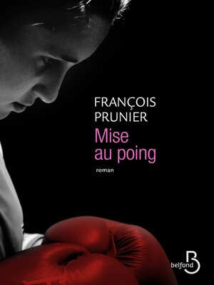 cover image of Mise au poing